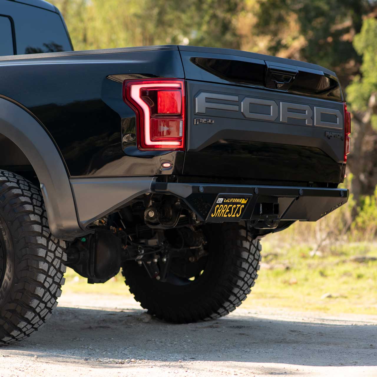 Custom Truck Rear Bumper