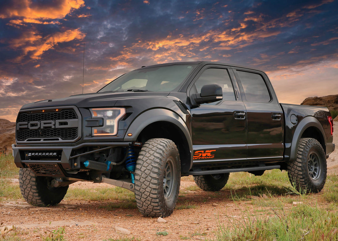 Ford F150 Raptor Custom